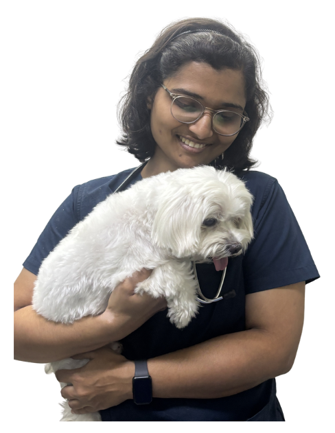 Dr. Sindhu G Nair, eye specialist at SKS Veterinary Hospital