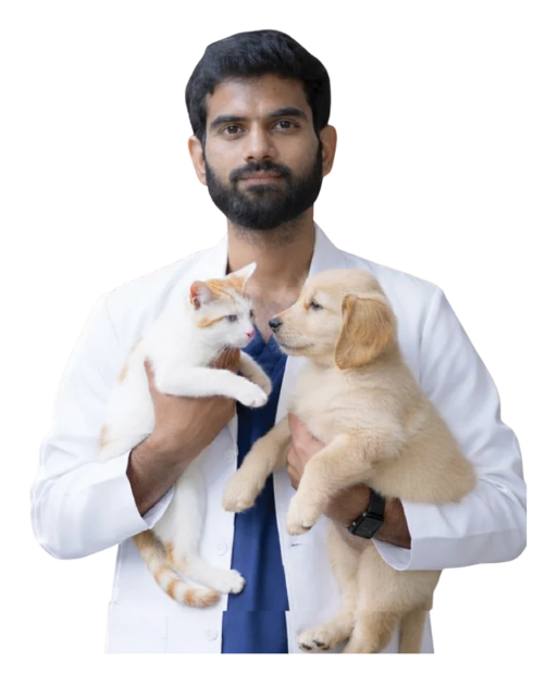 Dr. Vishnu Vardhn Reddy, heart specialist at SKS Veterinary Hospital