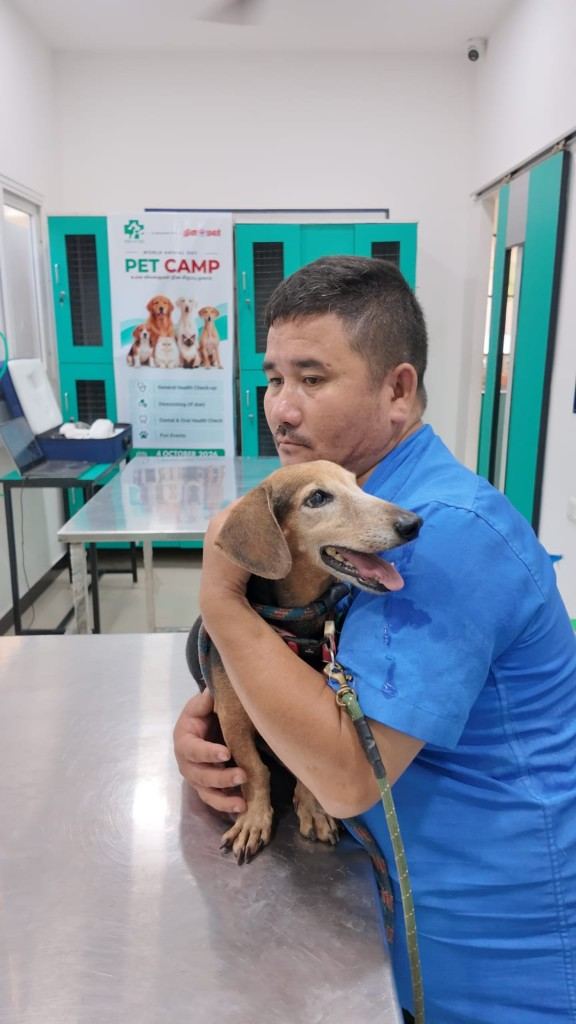 A veterinarian holding a dog at the camp