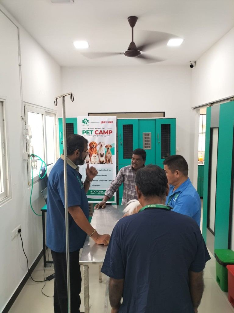 Veterinarians with a pet parent during the camp